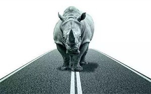 臣通觀點丨小心，中國產(chǎn)業(yè)園區(qū)的“灰犀?！庇謥砹?！