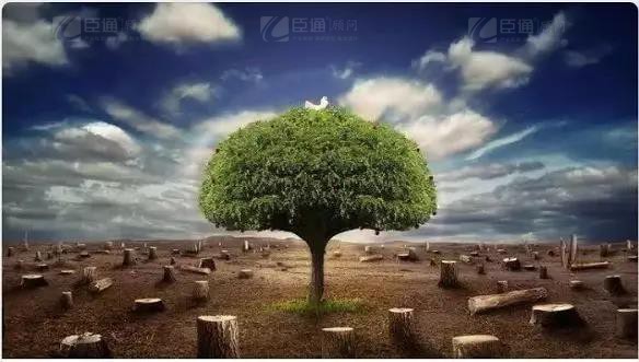 1547193502606877.jpg 微信圖片_20190111155640.jpg